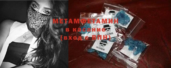 индика Алзамай