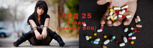 индика Алзамай