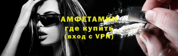 индика Алзамай
