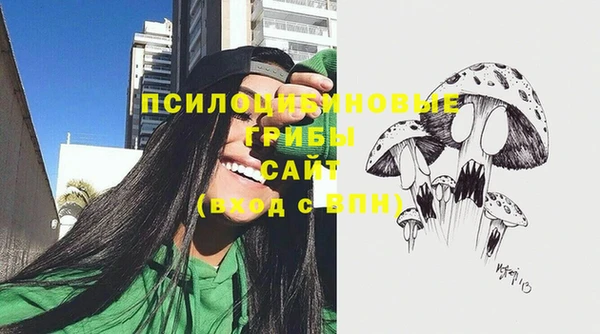индика Алзамай